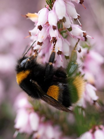 Photo by KCPhotoGeek