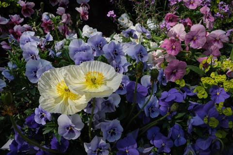 Photo by catastrophe