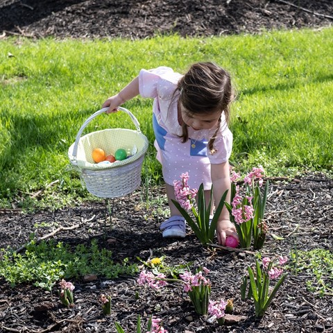 Photo by johncecilian