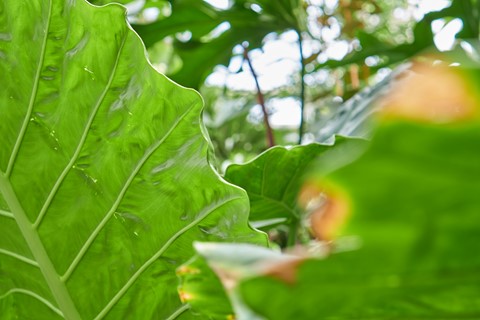 Photo by BrentSchumer