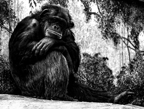 Photo by Eric tipandtool