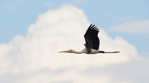 Photo by searching_eyes