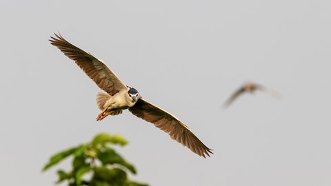 Photo by searching_eyes