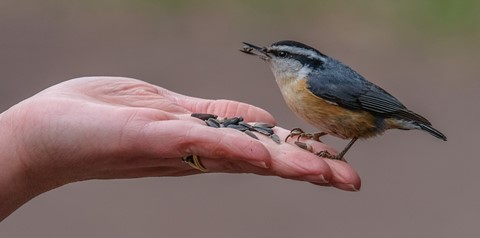 Photo by DHAPhotography