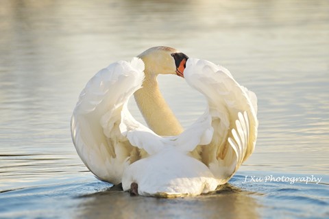 Photo by 2019-05-14_11-44-03