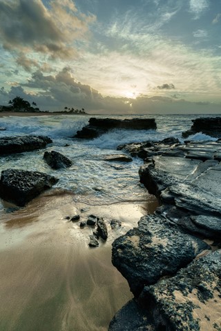 Photo by forceofnature