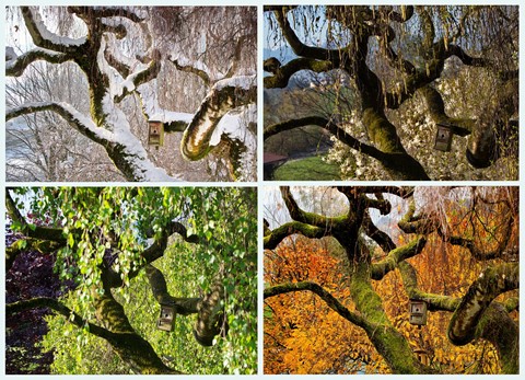 Photo by fireplace33