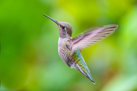 Photo by Jerry-astro