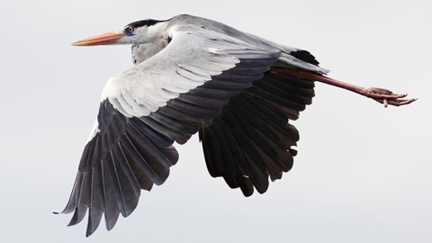 Photo by searching_eyes