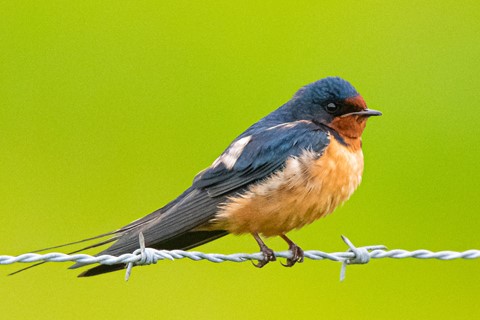 Photo by evanrassbcglobalnet