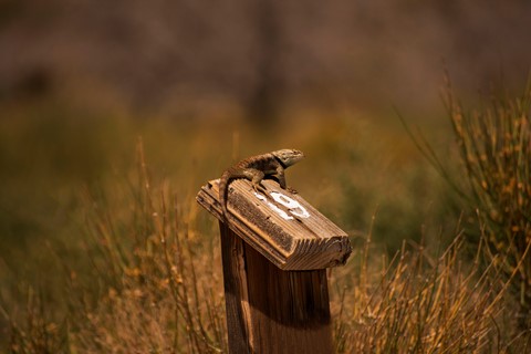 Photo by Mason Scantlin