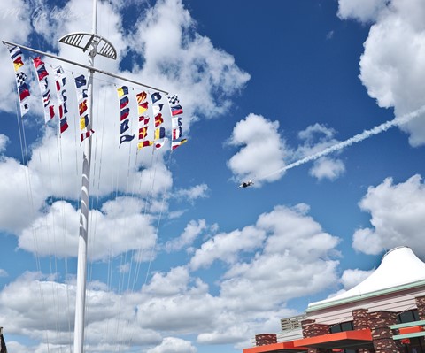 Photo by MikeyBugs95