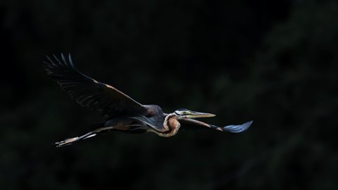 Photo by searching_eyes