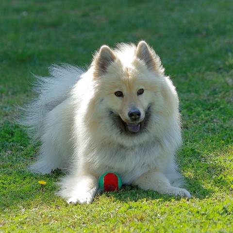 Photo by Aris Matsoukas