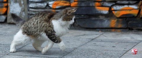 Photo by Aris Matsoukas