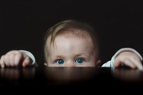 Photo by PhotoNut117