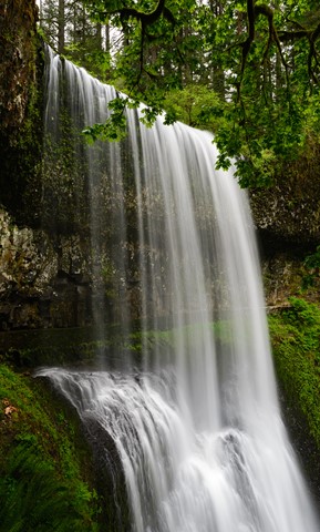 Photo by Joseph K Boston