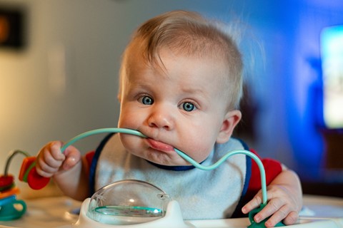 Photo by PhotoNut117