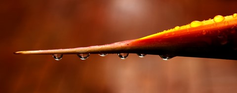 Photo by 36thDisciple