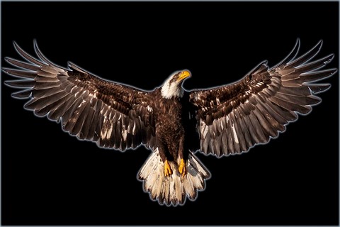 Photo by TinfoilCamera