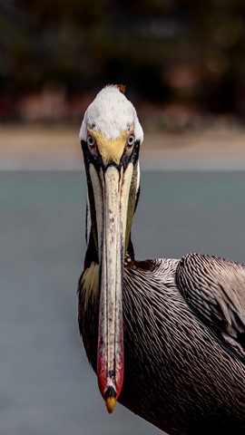 Photo by blackwater9988