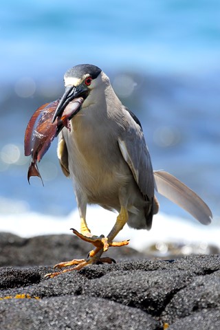 Photo by photophillic