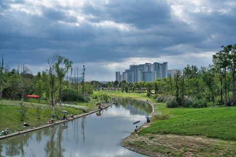 Photo by Paul Barnard