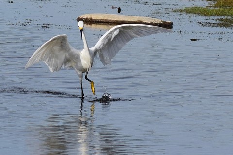 Photo by Denver Dave