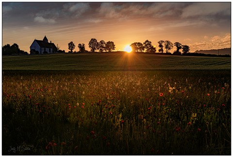 Photo by Ansel Spear