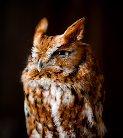 Photo by Marianne_Barnett