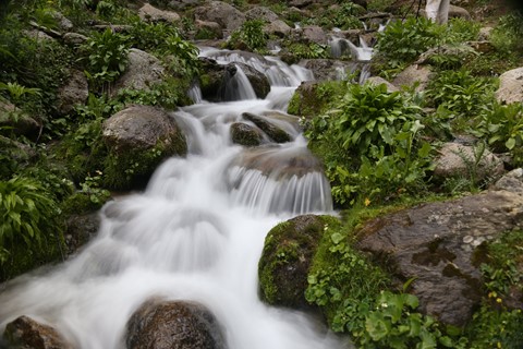 Photo by Mian Rabbani