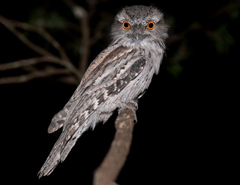 Photo by ClementPhotos