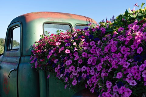 Photo by Hoover Monroe