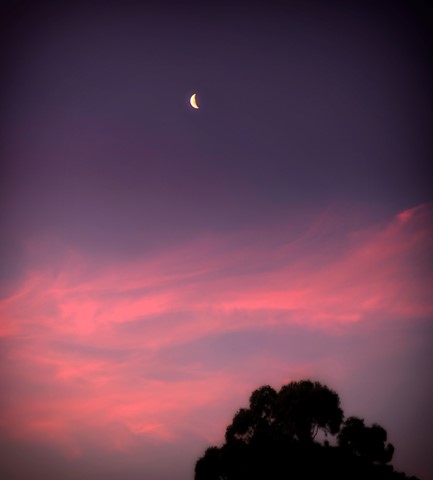 Photo by SigmaChrome