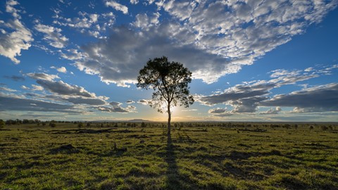 Photo by ClementPhotos