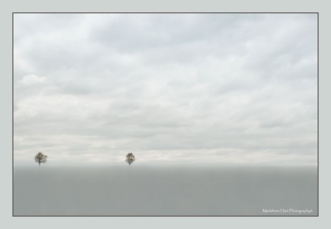 Photo by Madeleine Hart