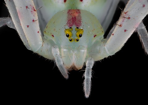 Photo by ClementPhotos