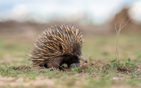 Photo by ClementPhotos