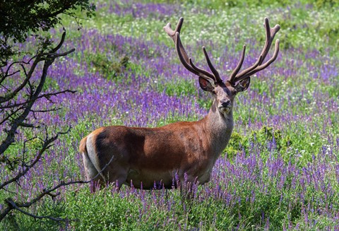 Photo by Brightrider