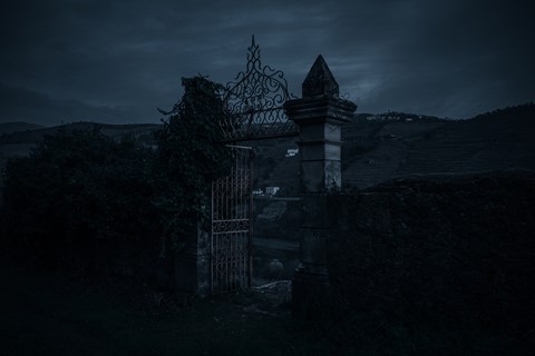 Photo by Davidabsilva