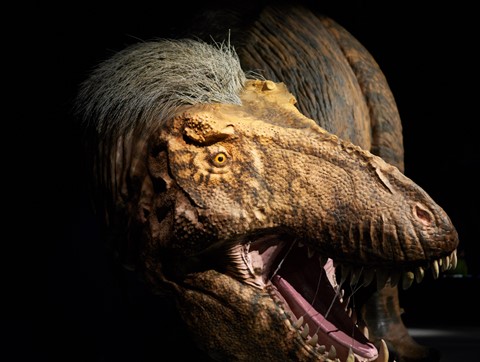 Photo by BrentSchumer