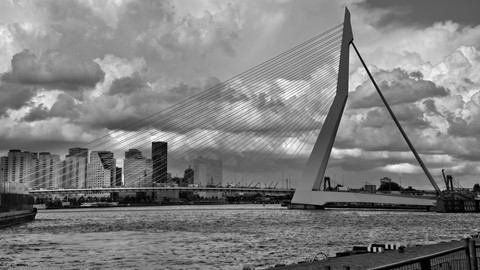 Photo by Erasmus bridge, Rotterdam
