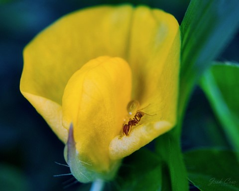 Photo by Larawanista