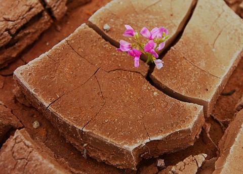 Photo by abiquiuense