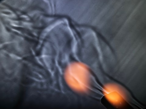 Photo by Barry  Twycross