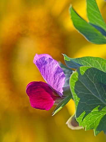 Photo by Holger Bargen