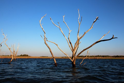 Photo by Nilesh Trivedi