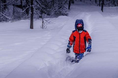 Photo by L_A_Wilkerson