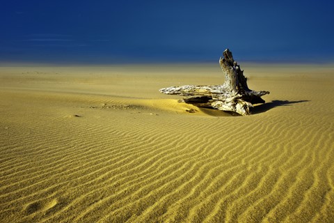 Photo by George Veltchev