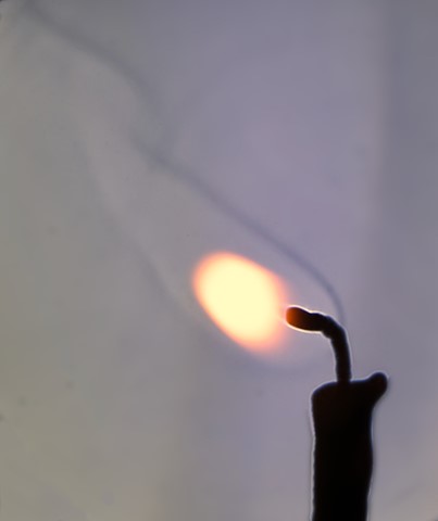 Photo by Barry  Twycross